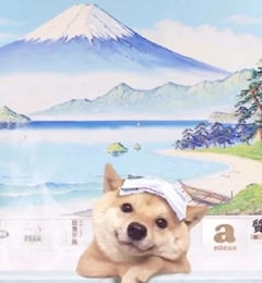 たかCEO