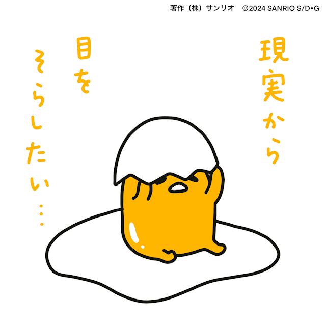 体験談画像