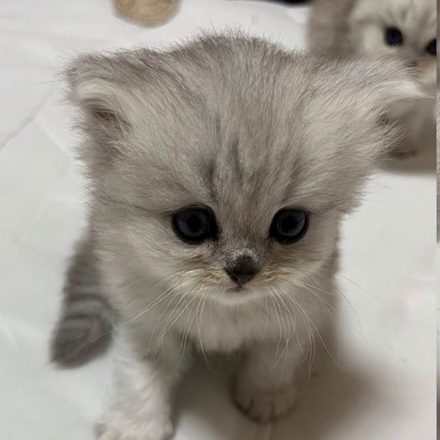 体験談画像
