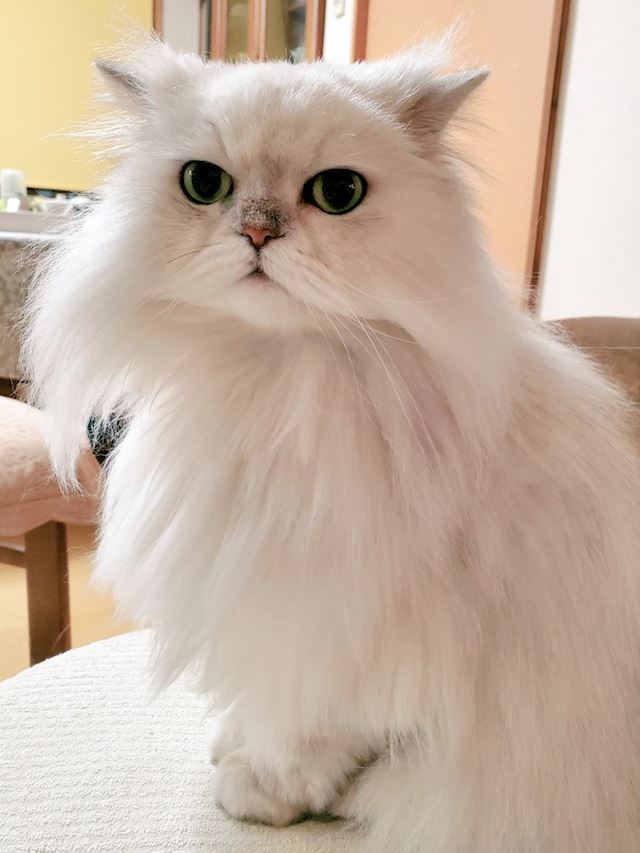体験談画像