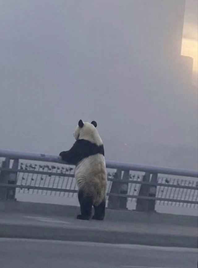 体験談画像