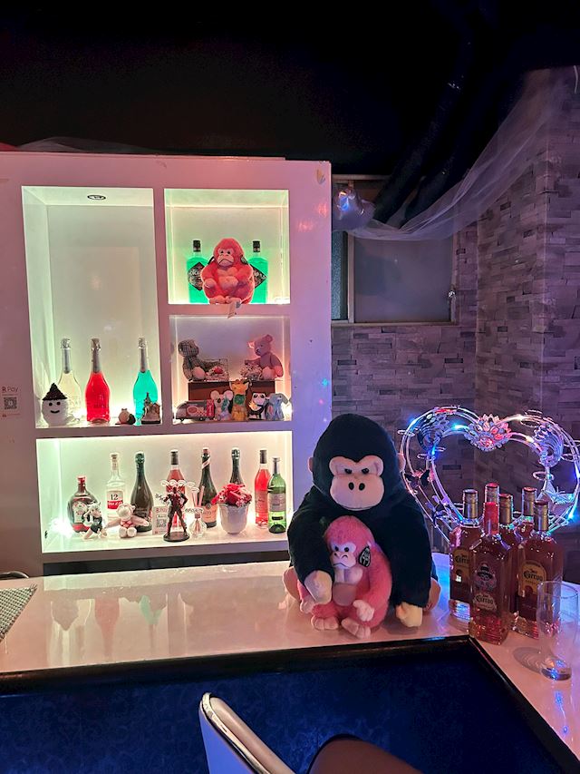 体験談画像