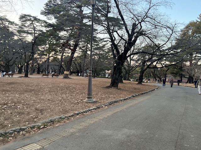 体験談画像