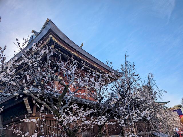体験談画像