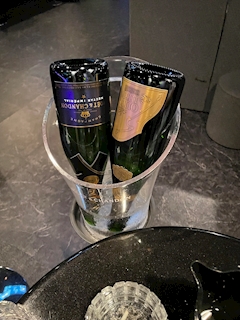 壊れかけの　ぴろし