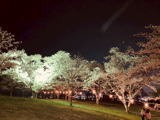 体験談画像