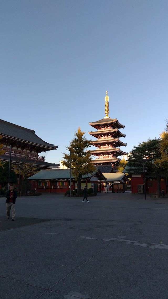 体験談画像