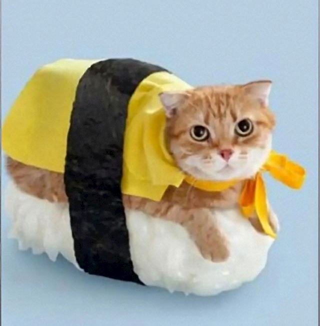体験談画像