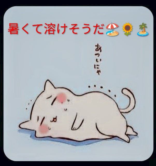 体験談画像
