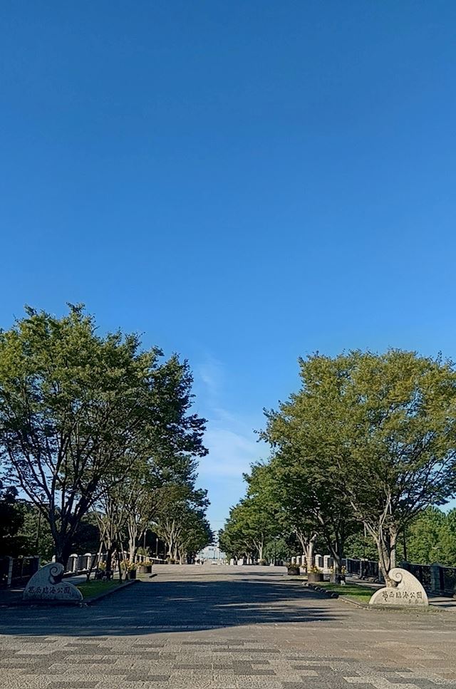 体験談画像