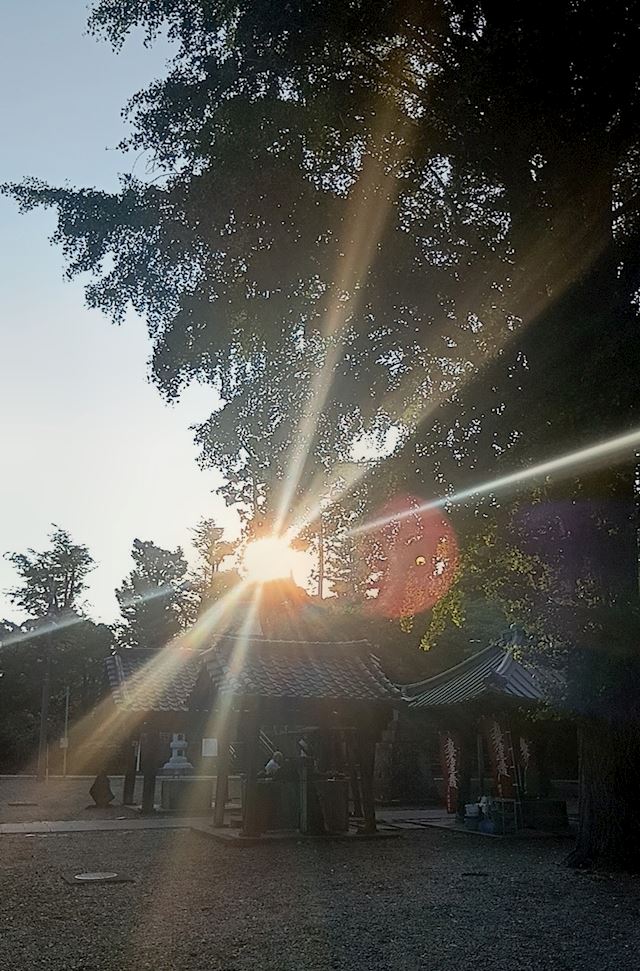 体験談画像