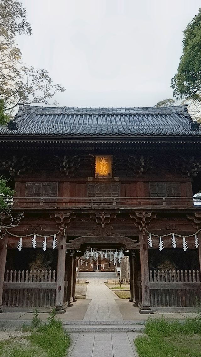 体験談画像