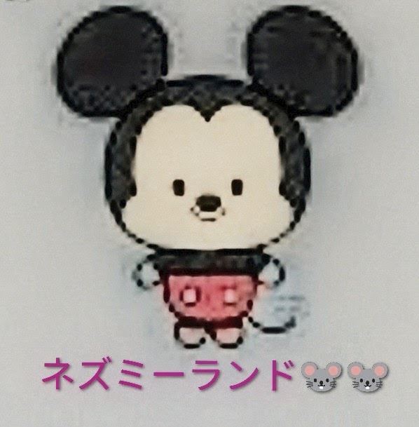 体験談画像