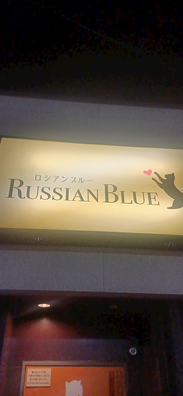 体験談画像