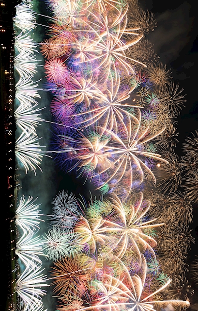 埜昂