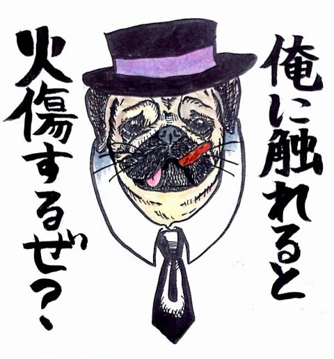 パグ親父