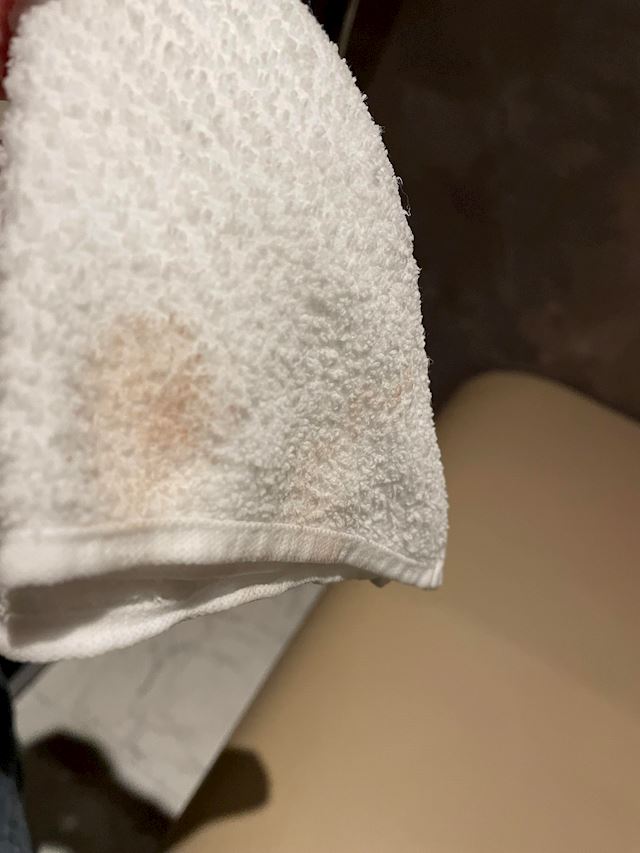 体験談画像