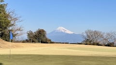 レフティたか