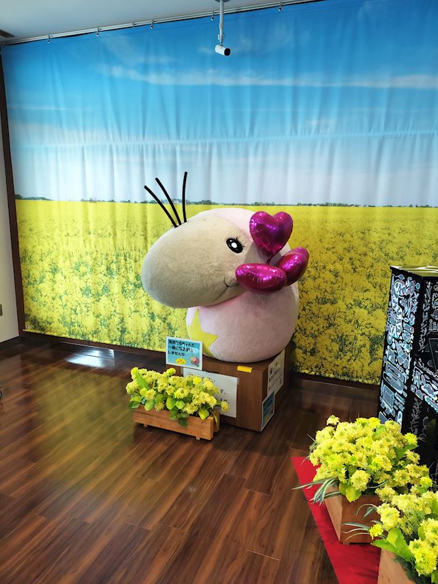 体験談画像