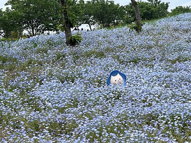 体験談画像