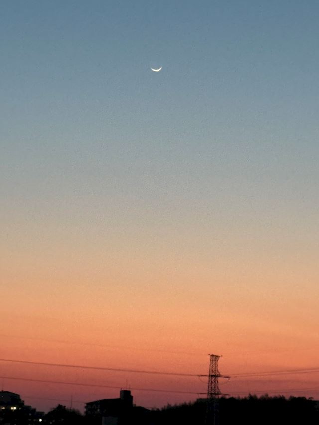 体験談画像