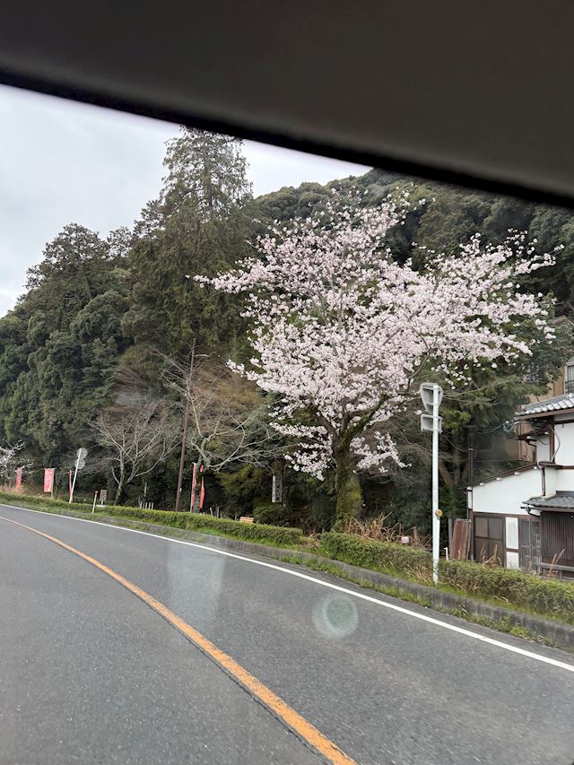 体験談画像
