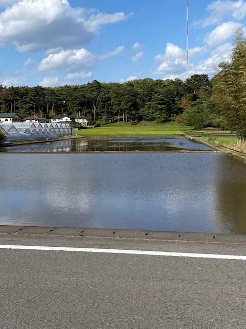 しん2547