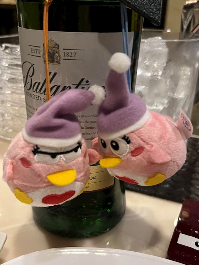 体験談画像