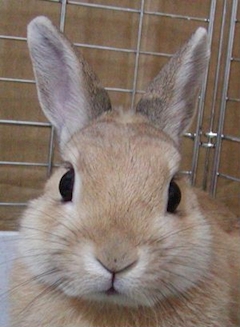 口コミ ーぬー