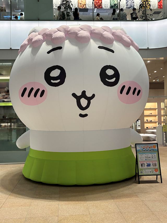 体験談画像