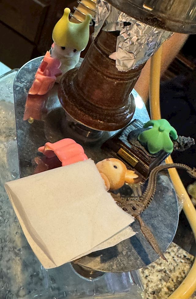 体験談画像