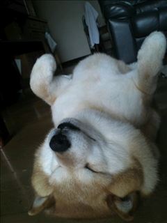 （退会ユーザー）