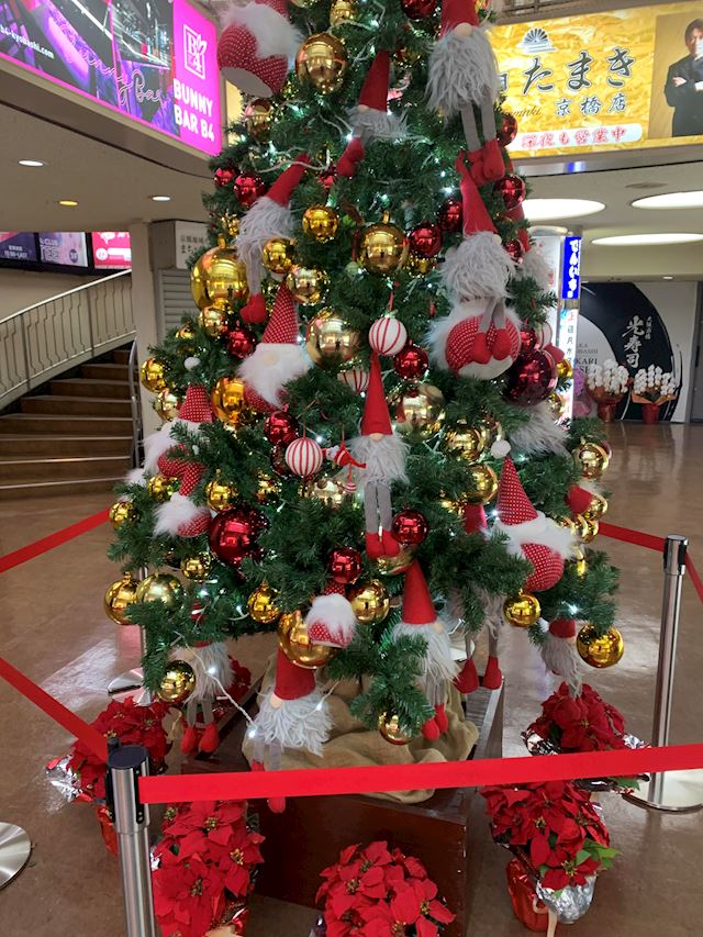 体験談画像