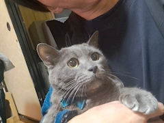 口コミ 推しのためなら○○