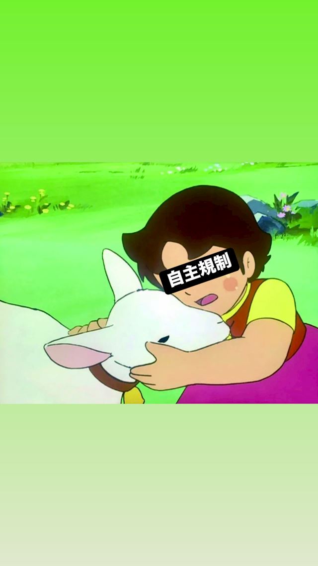 体験談画像
