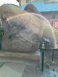 桜龍
