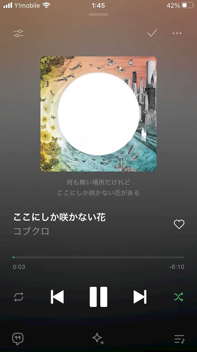 体験談画像