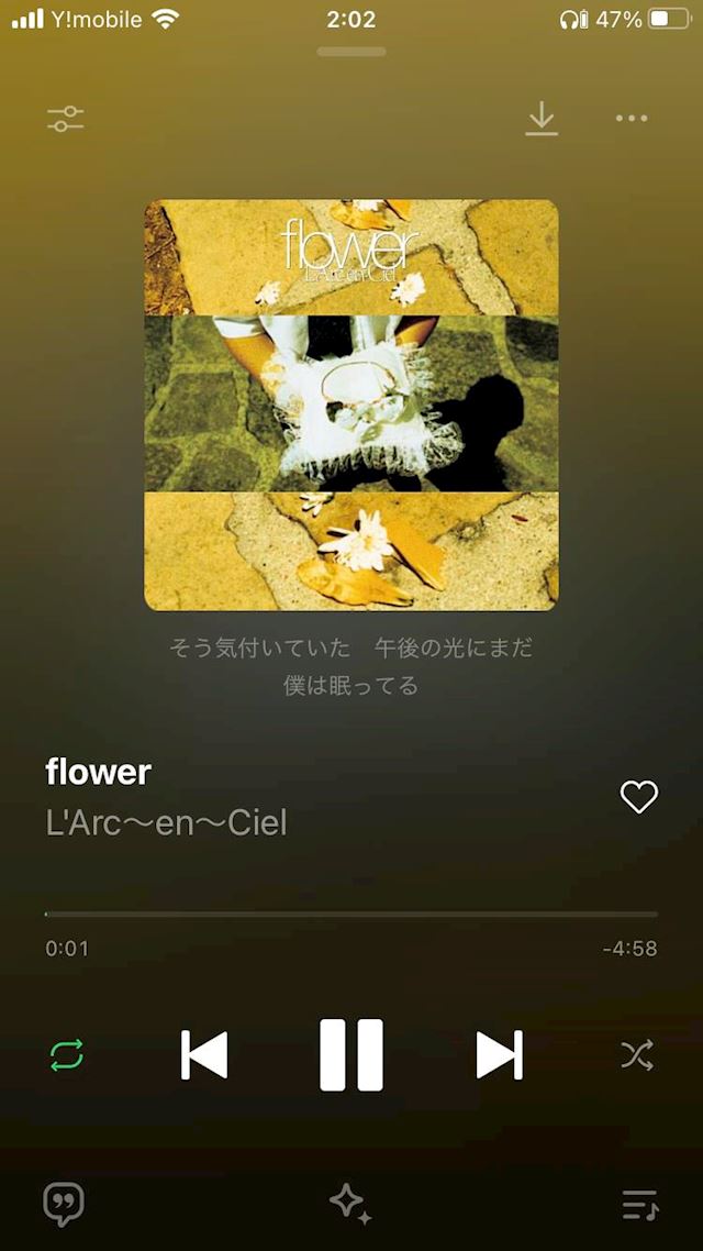 体験談画像