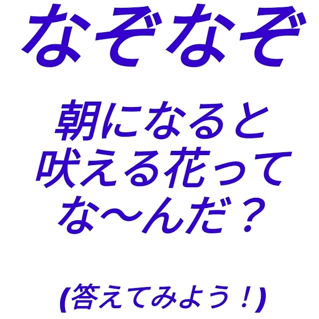 なぞなぞの服を着た人