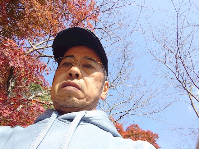 体験談画像