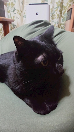 ラーメンやまだ