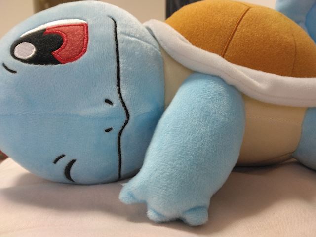 体験談画像