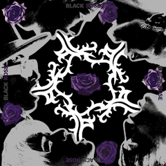 BLACK ROSE