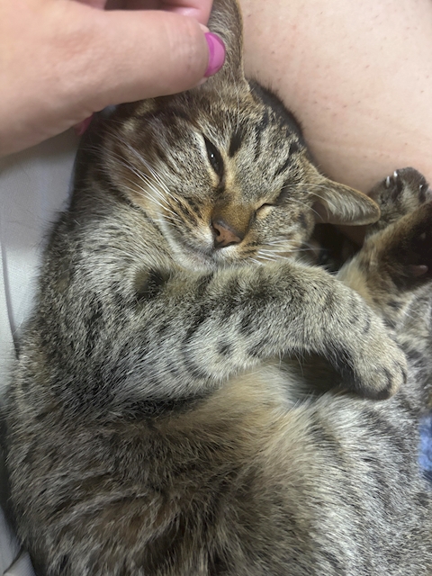 ちぃこ