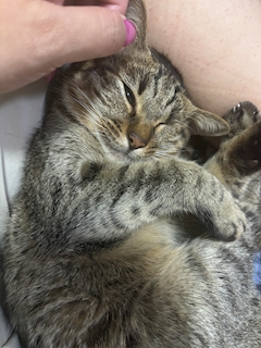 ちぃこ