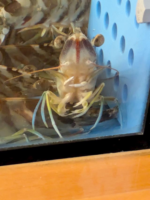 体験談画像