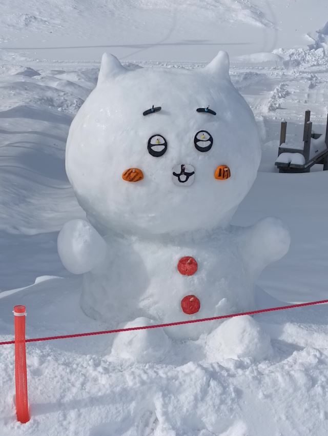 体験談画像