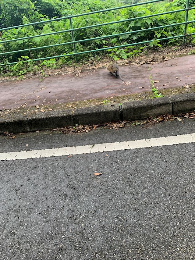 体験談画像