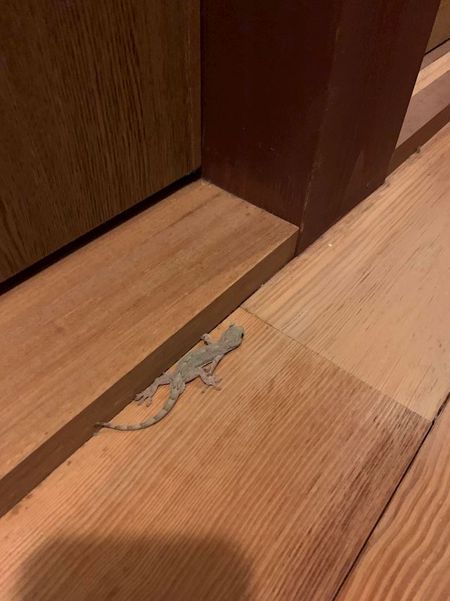 体験談画像