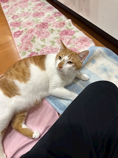 プラチナのまさ兄